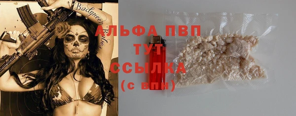стаф Беломорск