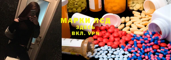 стаф Беломорск