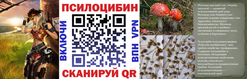 ссылка на мегу рабочий сайт  Верея  Галлюциногенные грибы Cubensis 